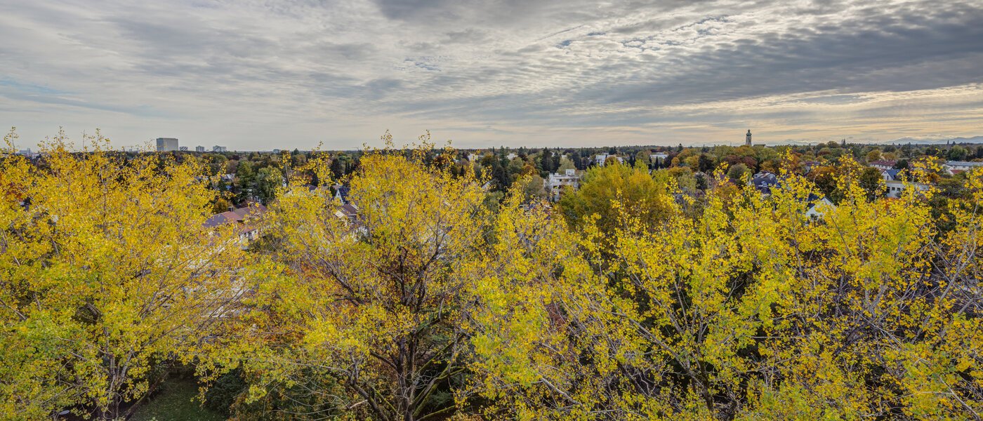 マンション München Parkstadt Solln 02 物件からの眺め 14205