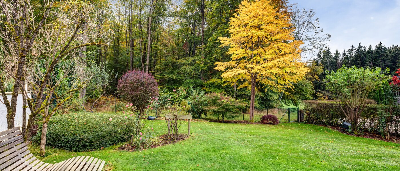 家屋 Berg am Starnberger See 03 庭 14208