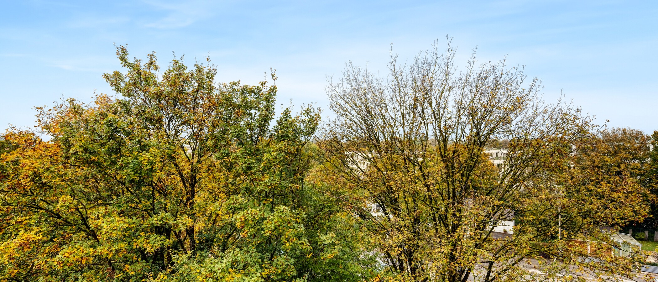 マンション München Aubing 03 物件からの眺め 14209