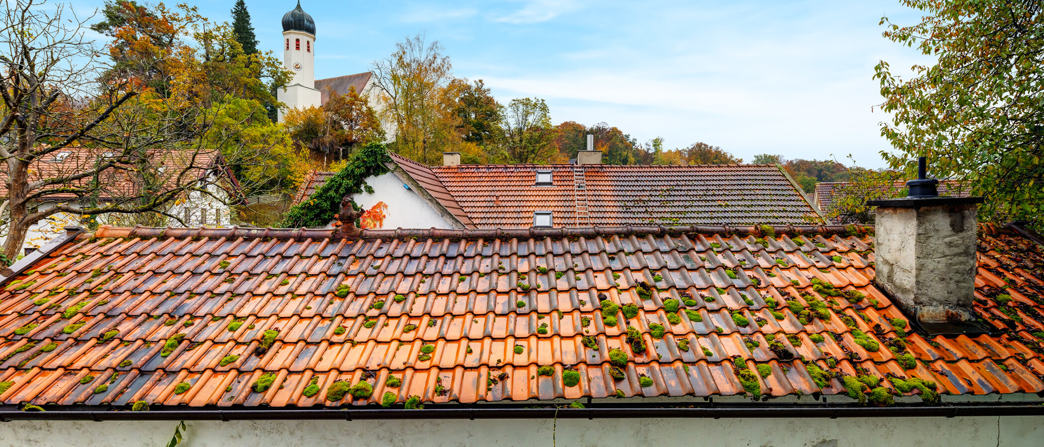 マンション Herrsching am Ammersee 02 物件からの眺め 14210
