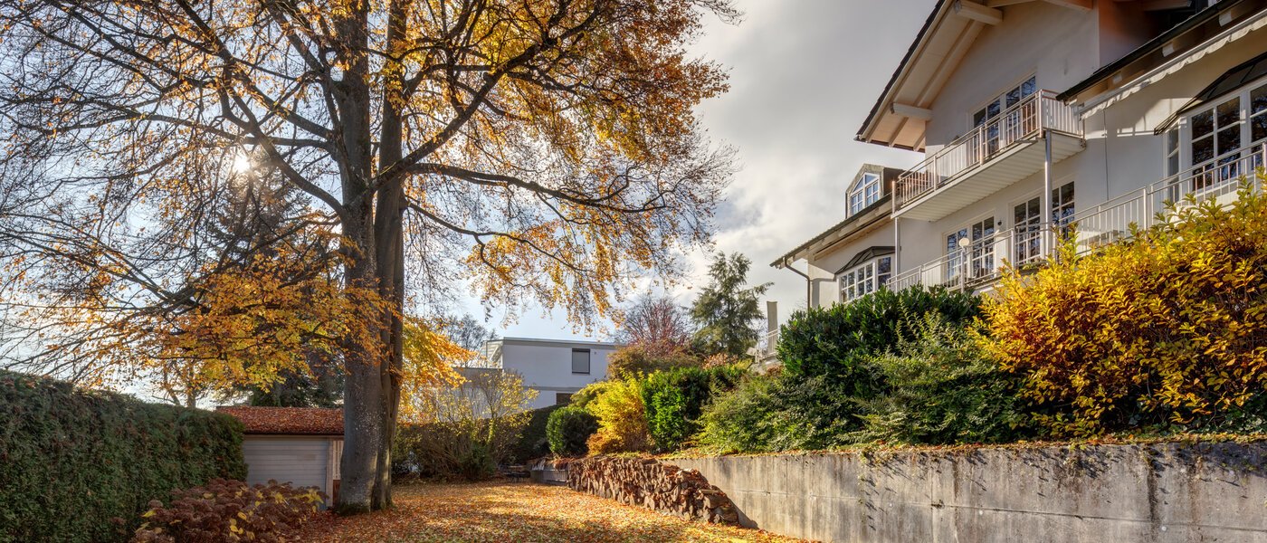 マンション Starnberg 02 共有ガーデン 14249