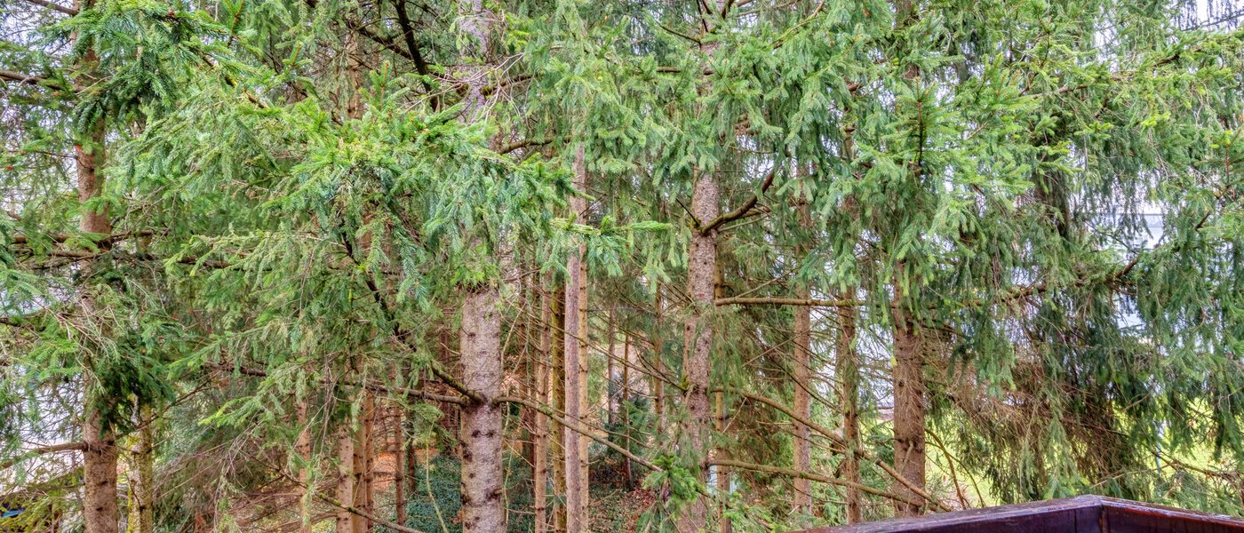 マンション Ottobrunn 01 物件からの眺め 14267