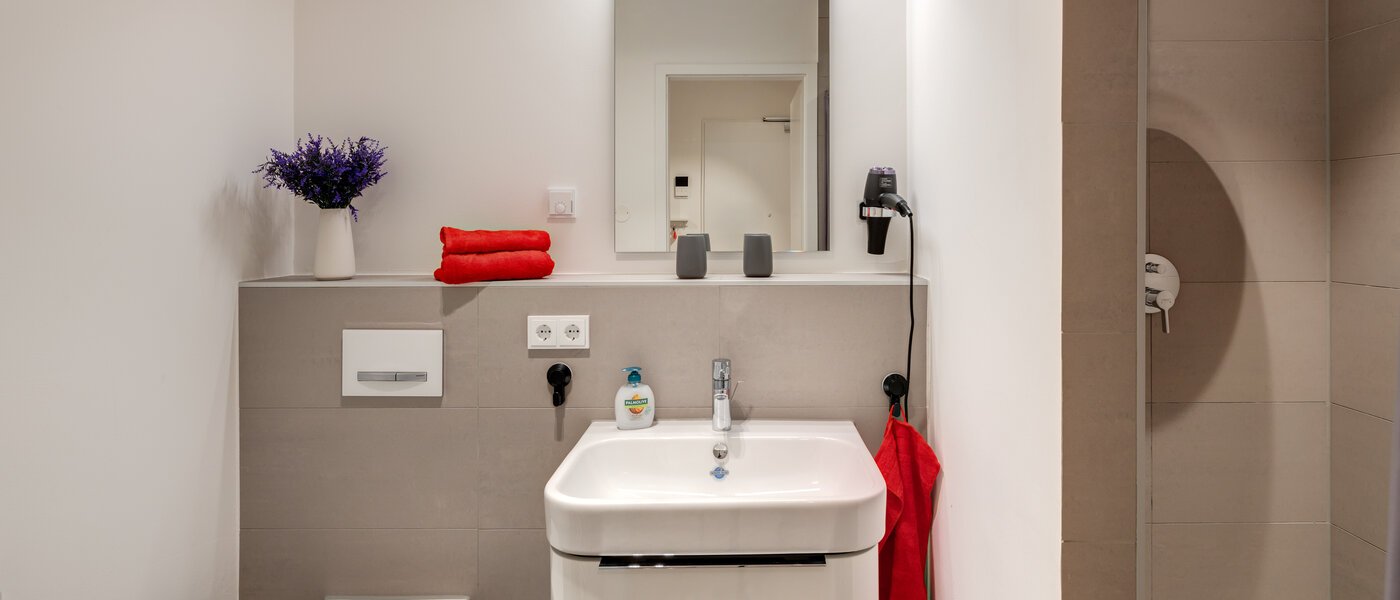 マンション München Harlaching 01 浴室 14313