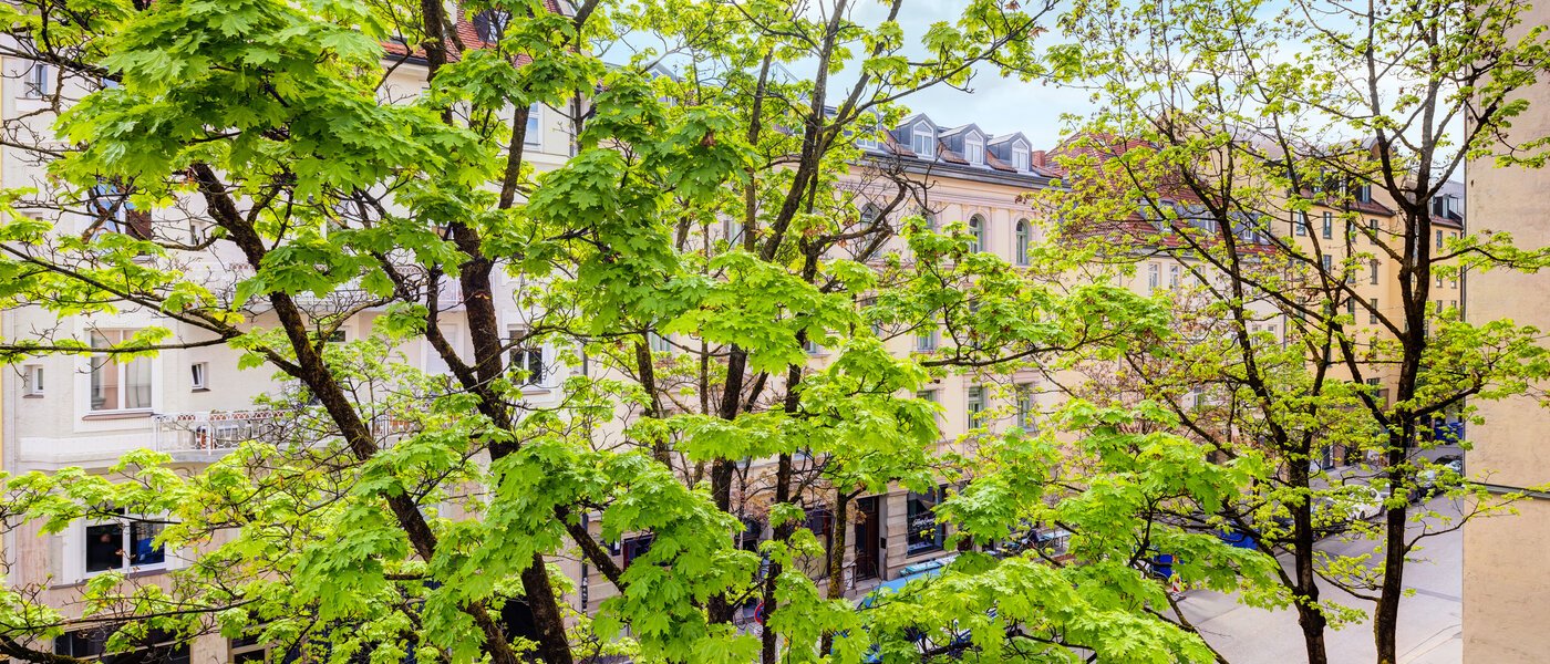 アパルトマン München Maxvorstadt 02 物件からの眺め 14371