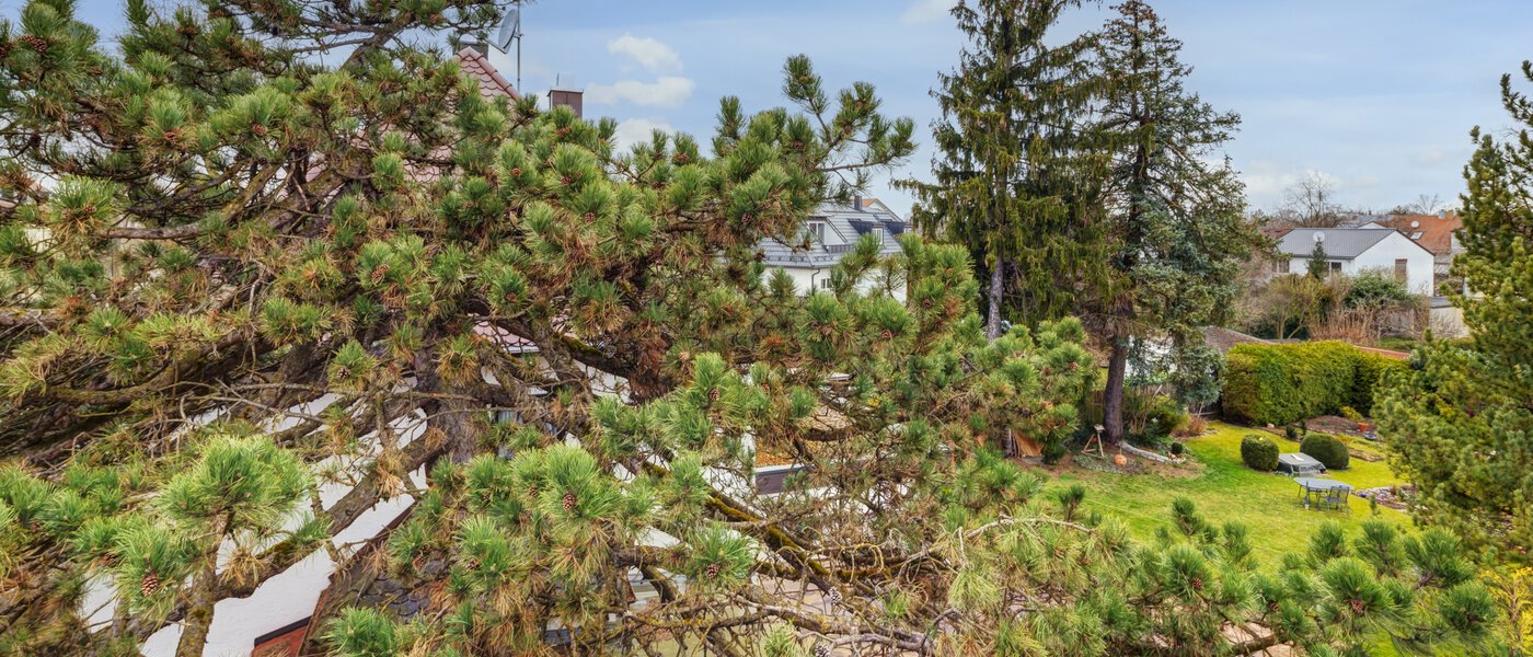 一戸建て München Daglfing 03 物件からの眺め 14387