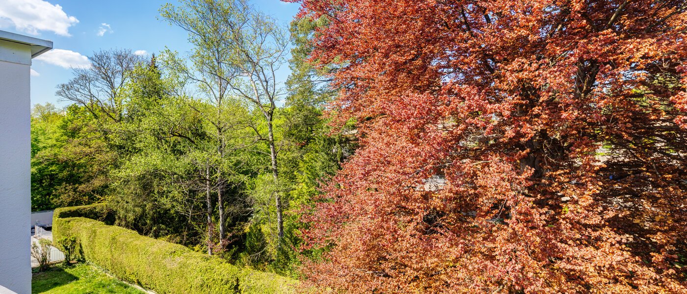 ペントハウス München Solln 03 物件からの眺め 14396