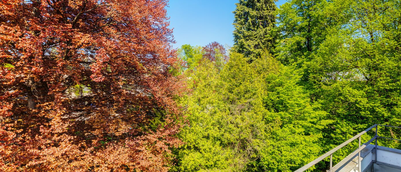 ペントハウス München Solln 04 物件からの眺め 14396