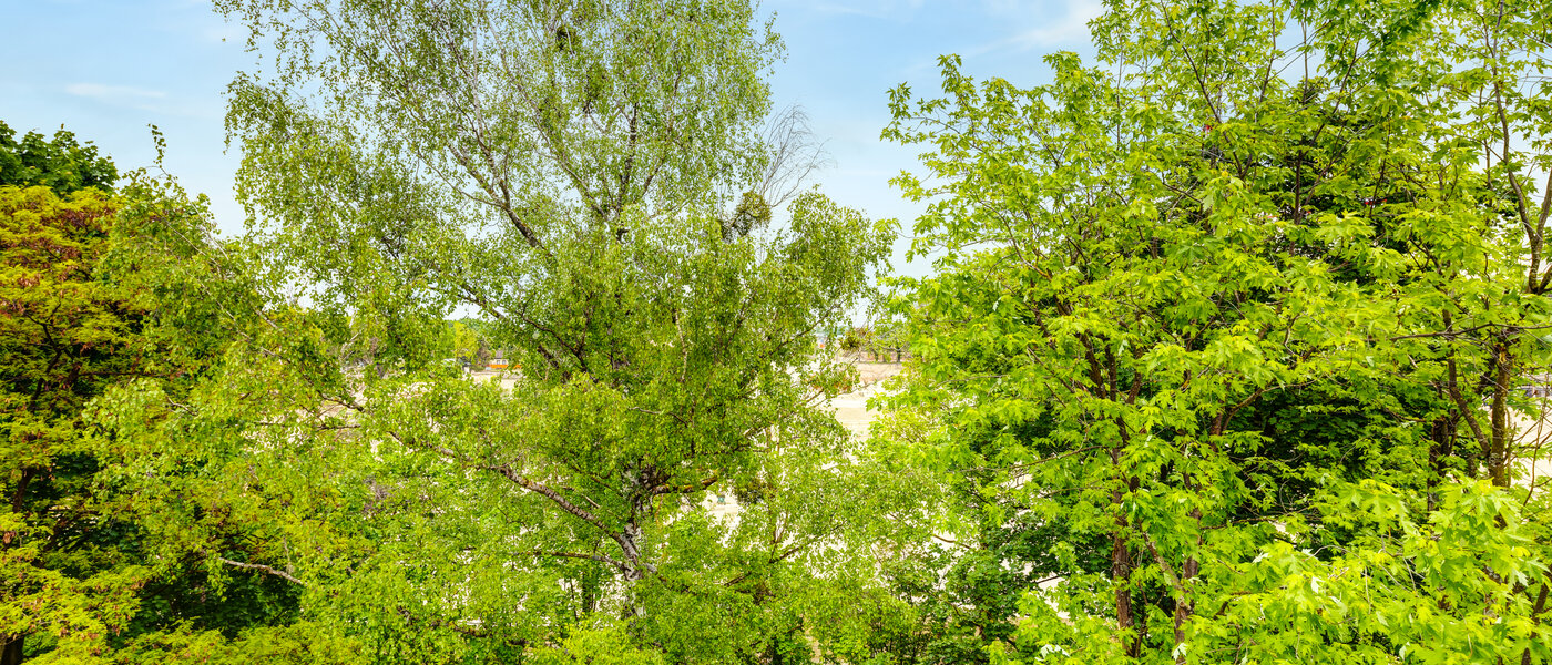 マンション München Freimann 02 物件からの眺め 14434