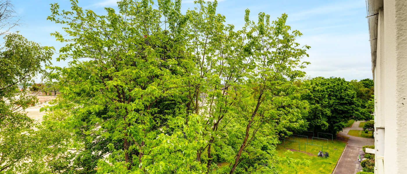 マンション München Freimann 03 物件からの眺め 14434