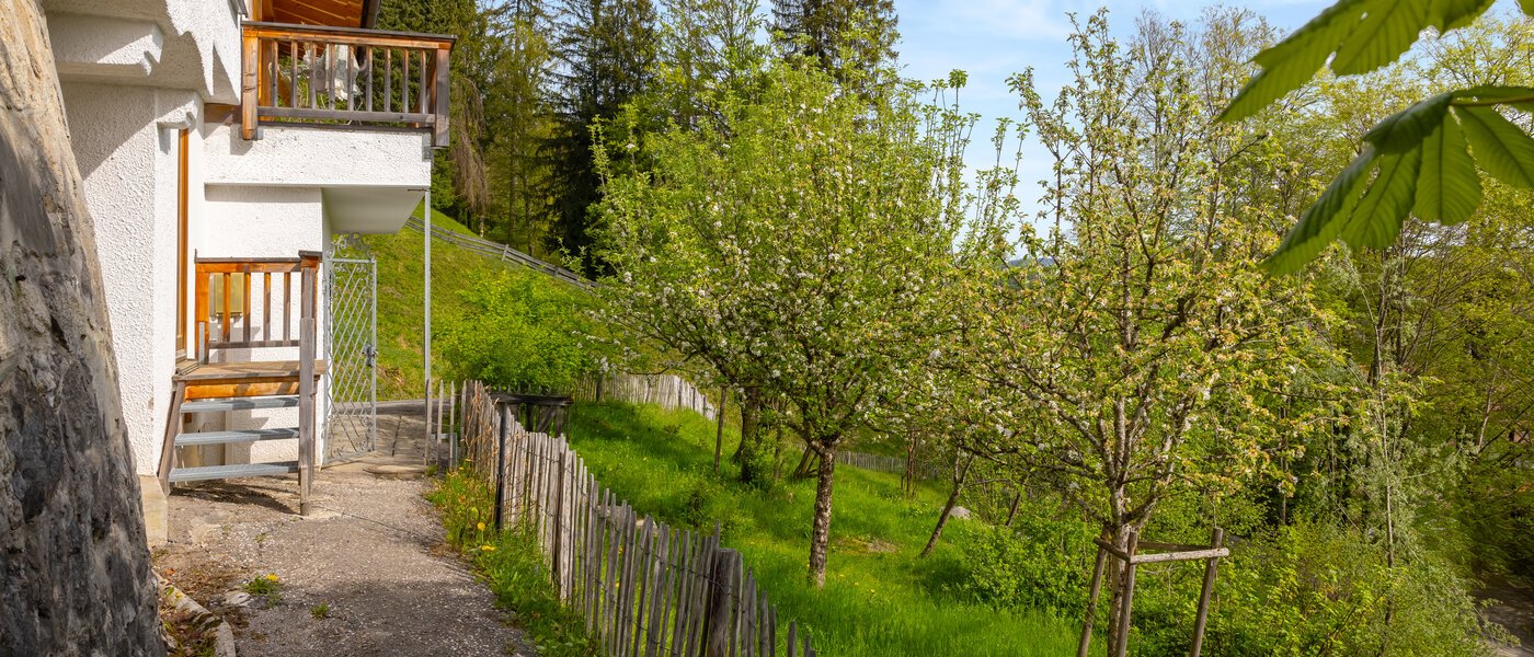 邸宅 Bad Wiessee 04 庭 14436