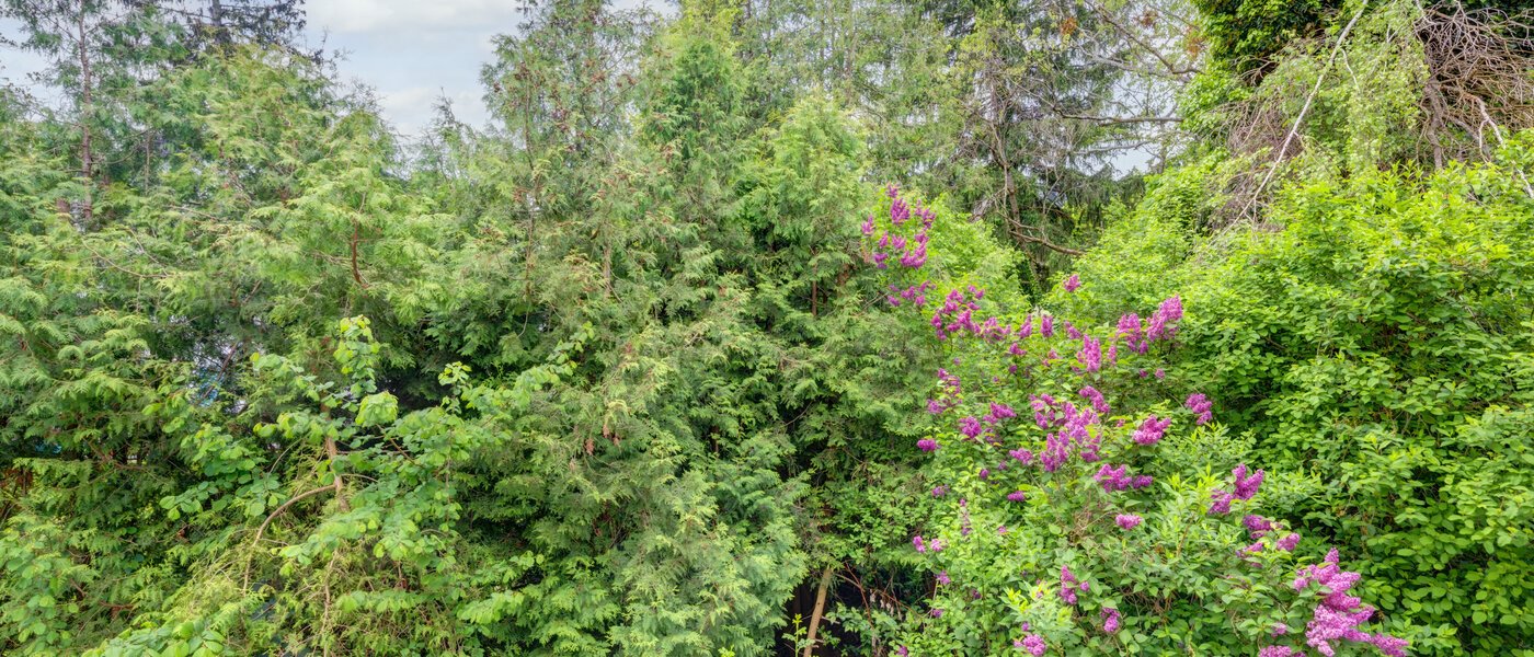 マンション München Thalkirchen 01 物件からの眺め 14439