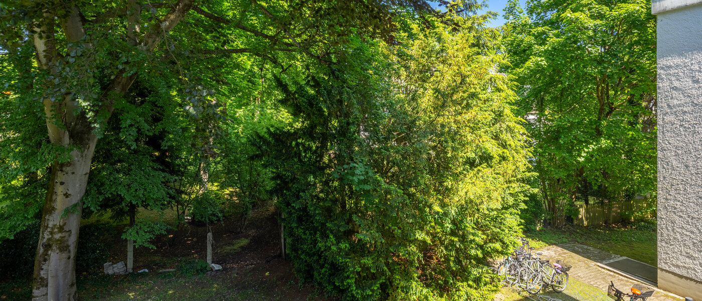 マンション München Menterschwaige 03 物件からの眺め 14458