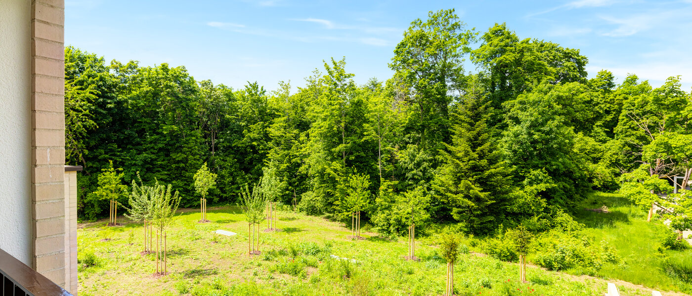 マンション Haar 01 物件からの眺め 14460