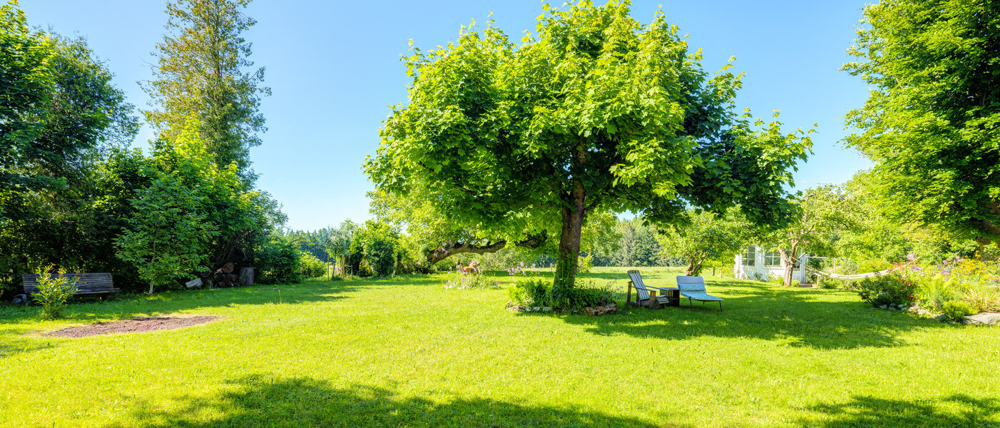 セミ・デタッチド・ハウス（一戸建てを二つに分けた家屋） Icking 02 庭 14465