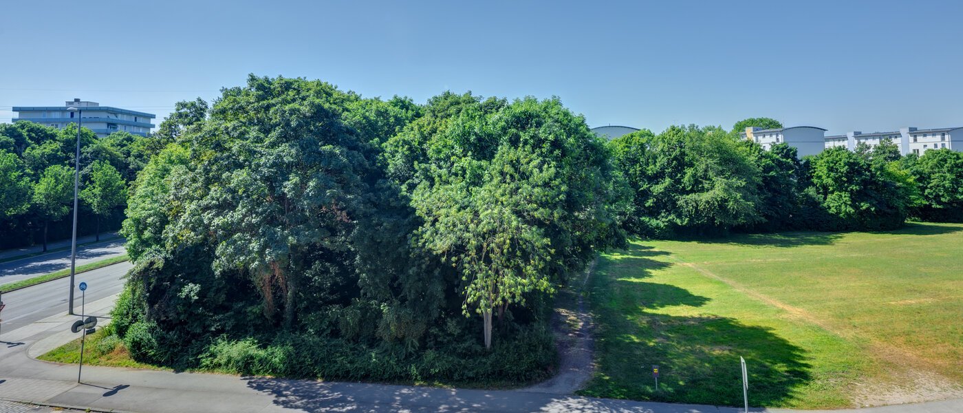 アパルトマン München Am Hart 01 物件からの眺め 14506