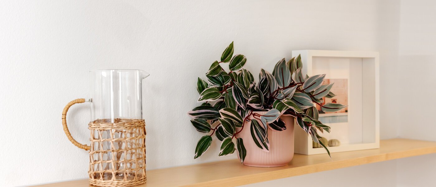 マンション München Schwanthalerhöhe 06 キッチン 14508