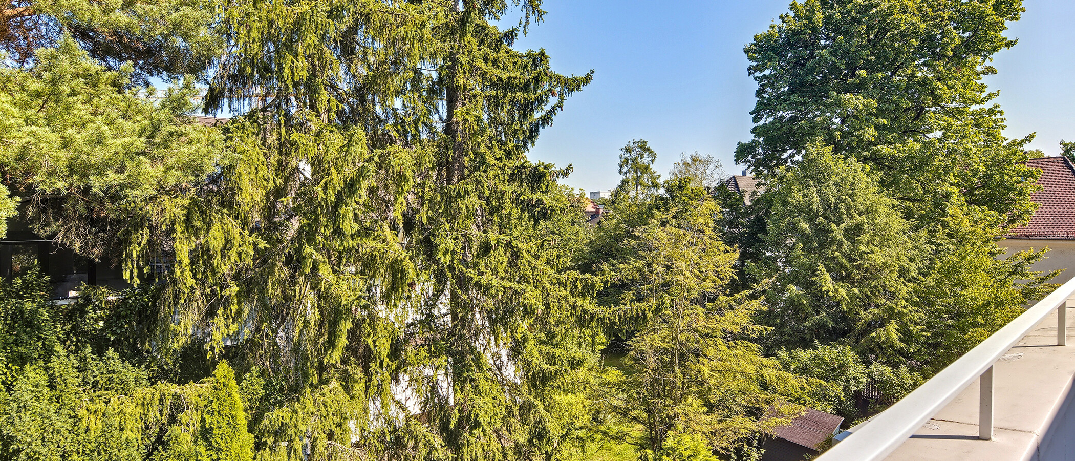 ペントハウス住宅 München Nymphenburg 03 物件からの眺め 14553