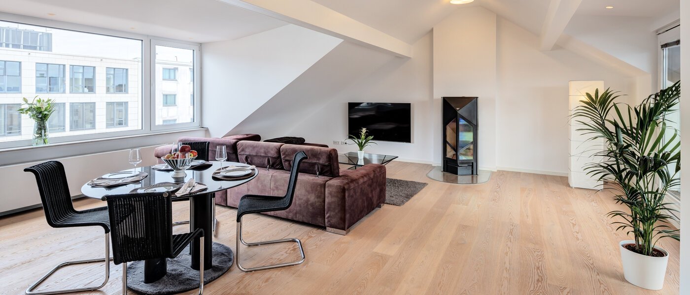 アティック・フラット（屋根裏） München Maxvorstadt 02 リビングエリア 14568