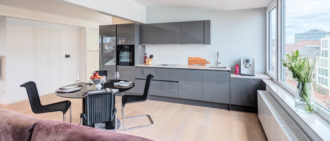 アティック・フラット（屋根裏） München Maxvorstadt 05 リビングエリア 14568