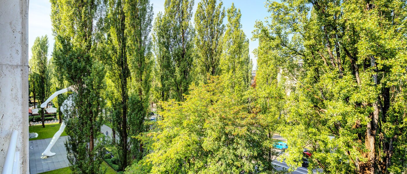 マンション München Schwabing (rechts der Leopoldstraße) 02 物件からの眺め 14569