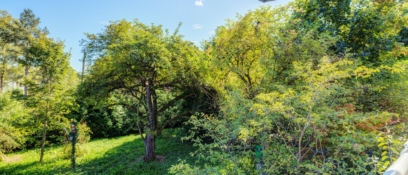 メゾネット・マンション（複数階にわたるマンション） Gröbenzell 04 物件からの眺め 14575
