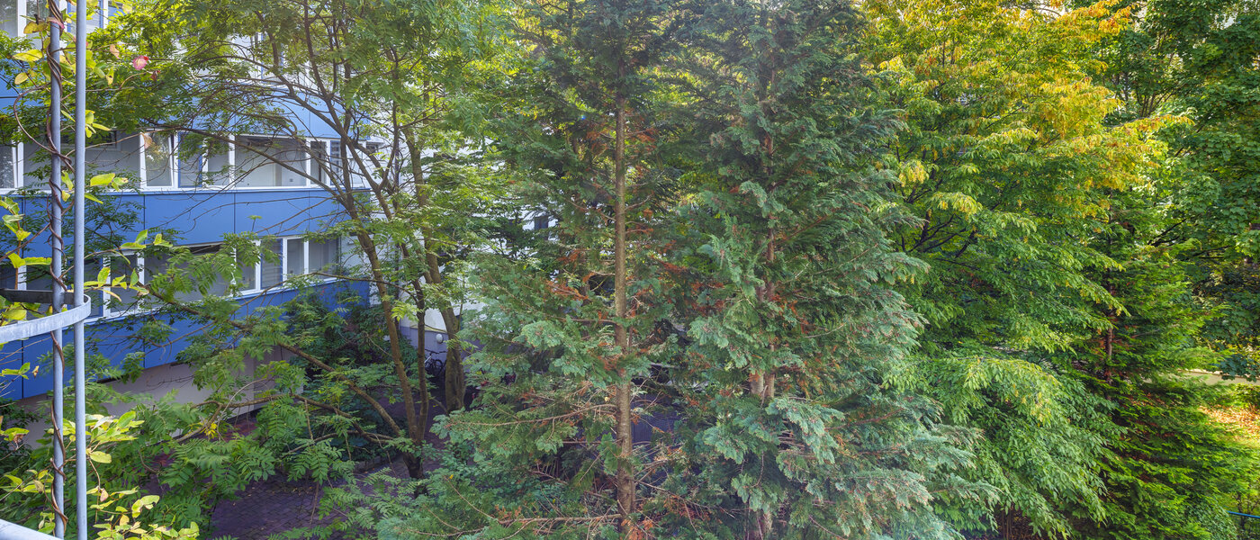 マンション München Obergiesing 01 物件からの眺め 14597