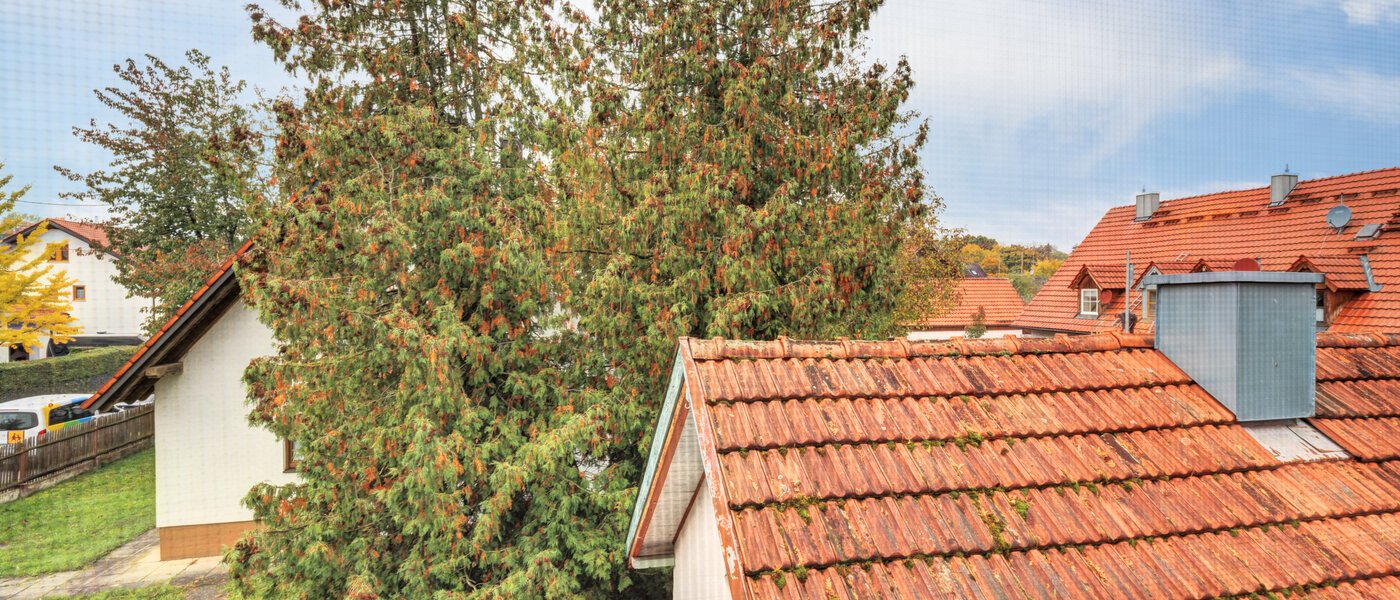 一戸建て Ismaning 02 物件からの眺め 14615