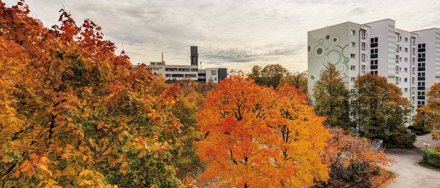 マンション Taufkirchen 02 物件からの眺め 14620