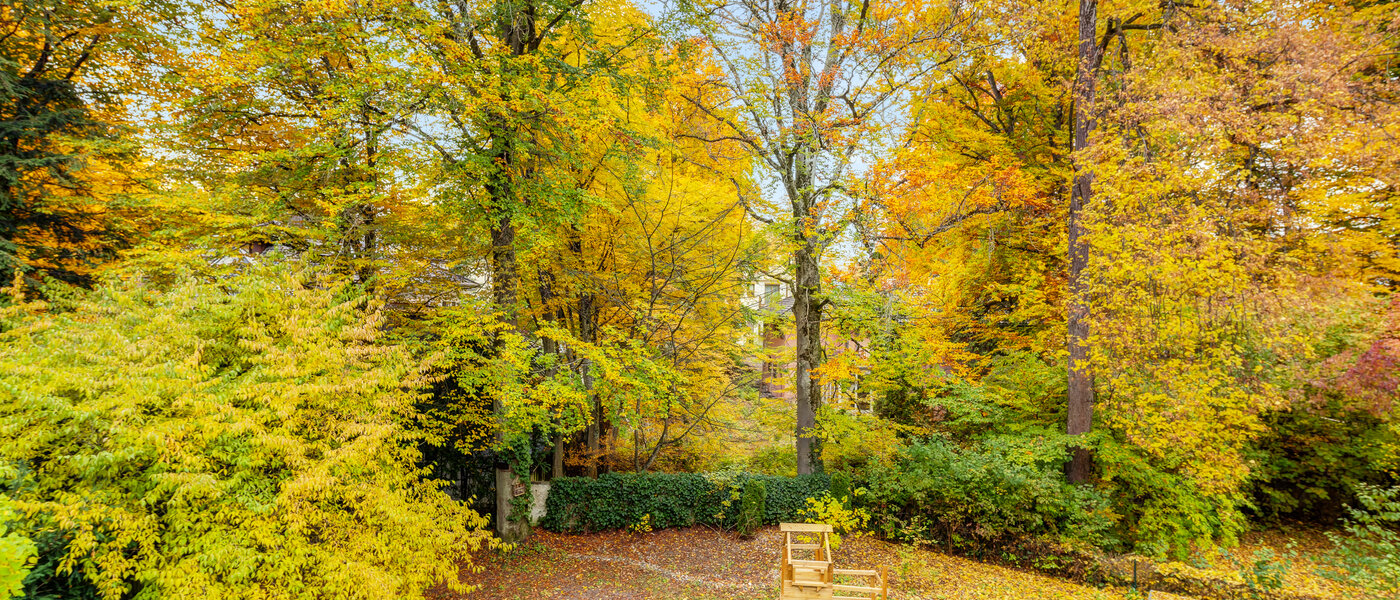 マンション München Harlaching 02 物件からの眺め 14629