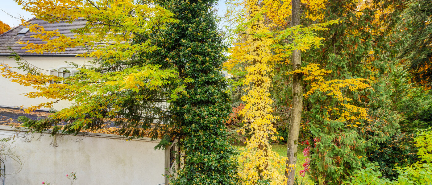 マンション München Harlaching 03 物件からの眺め 14629