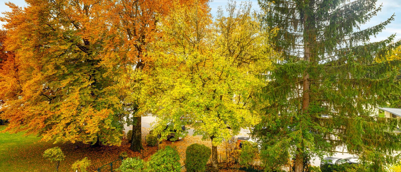 マンション Grünwald 01 物件からの眺め 14631