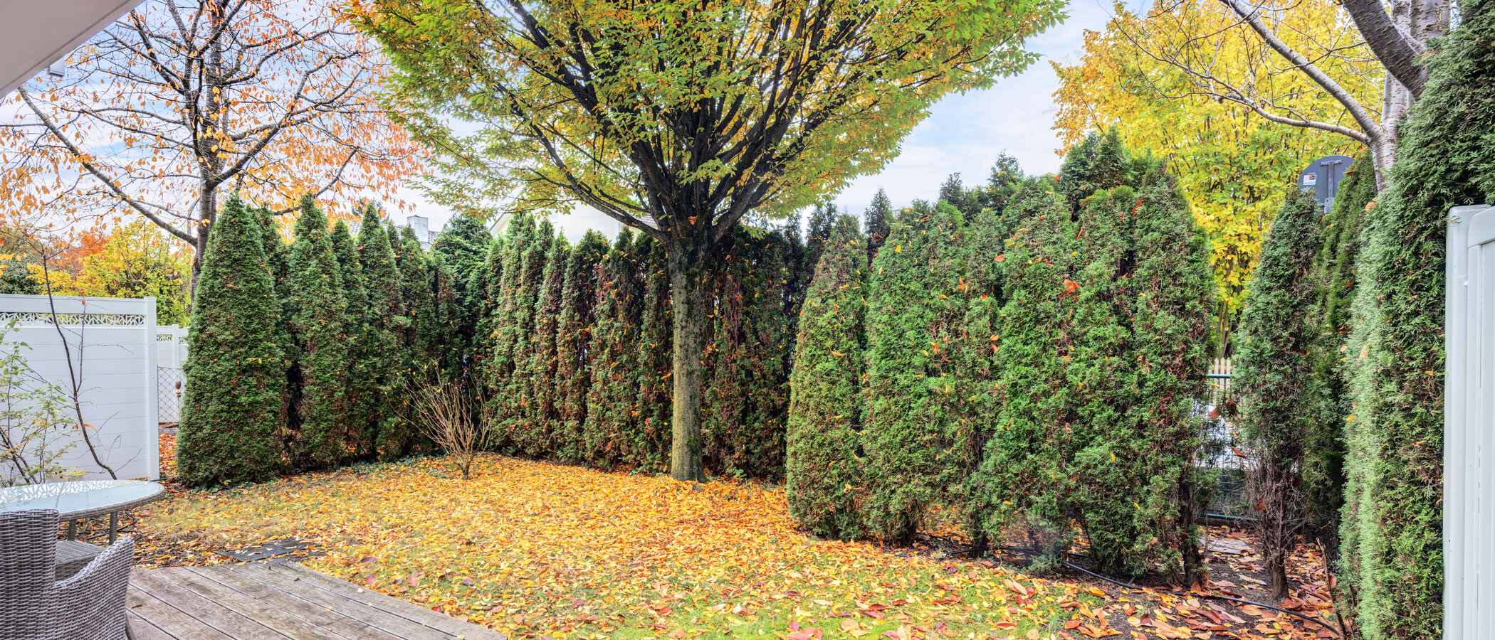 庭付き住宅 München Denning 02 庭 14634