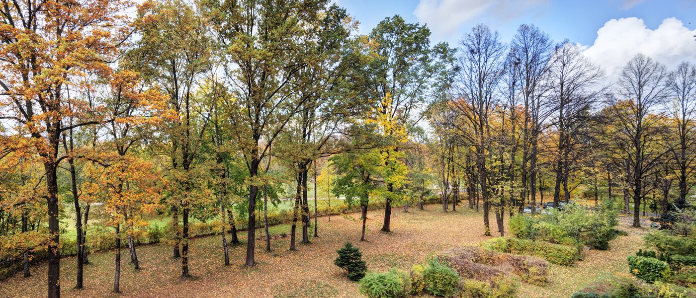 マンション München Bogenhausen 01 物件からの眺め 14639