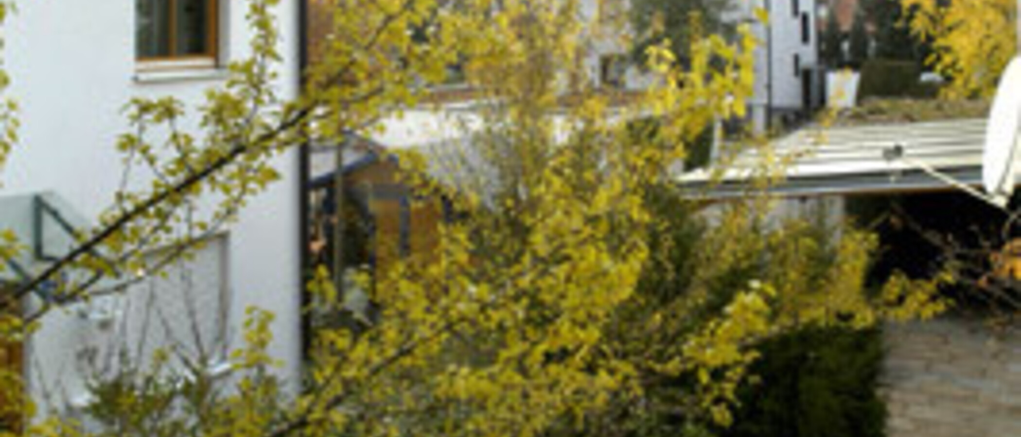 セミ・デタッチド・ハウス（一戸建てを二つに分けた家屋） München Trudering 04 物件からの眺め 1464
