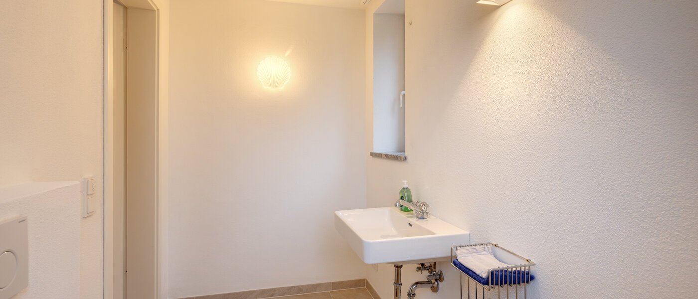 邸宅 Starnberg 04 サウナ 14680