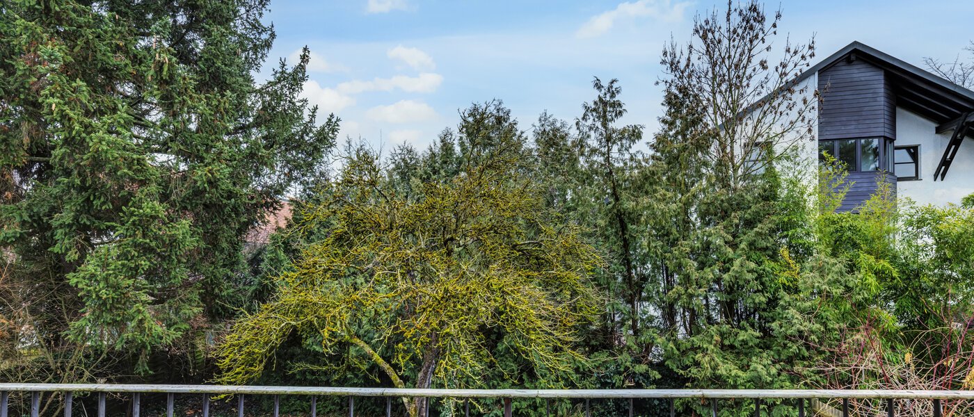 メゾネット・マンション（複数階にわたるマンション） München Cosimapark 01 物件からの眺め 14688