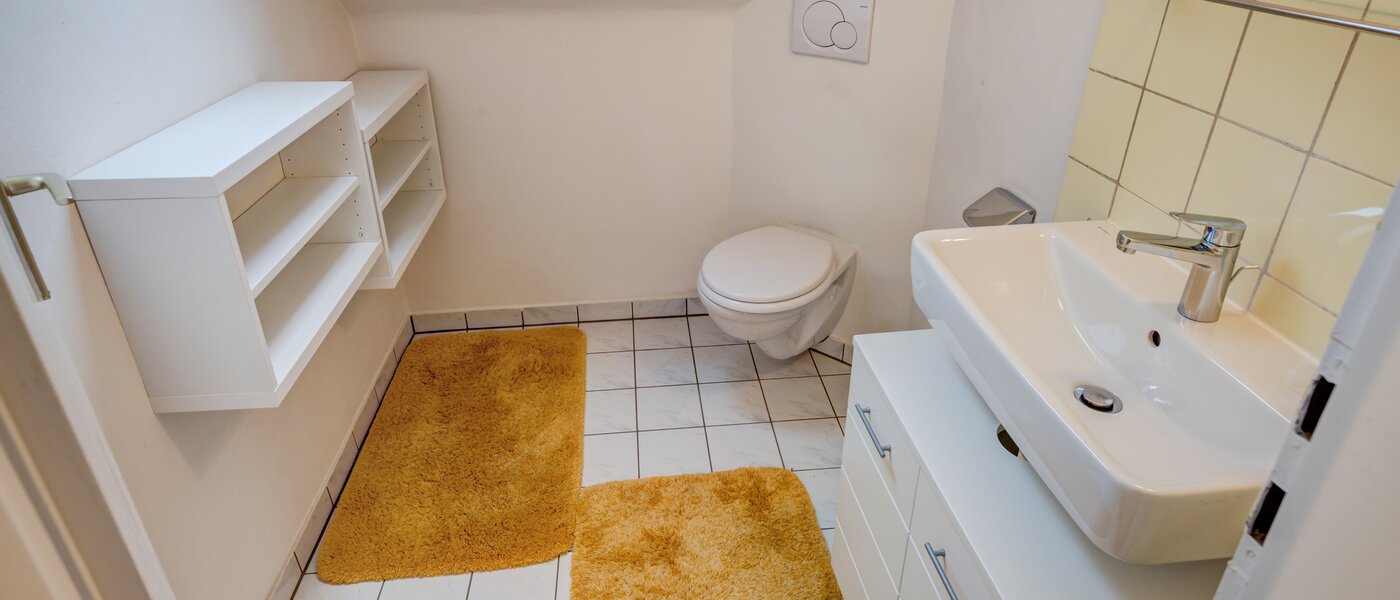 メゾネット・マンション（複数階にわたるマンション） München Cosimapark 02 ゲスト用 WC 14688