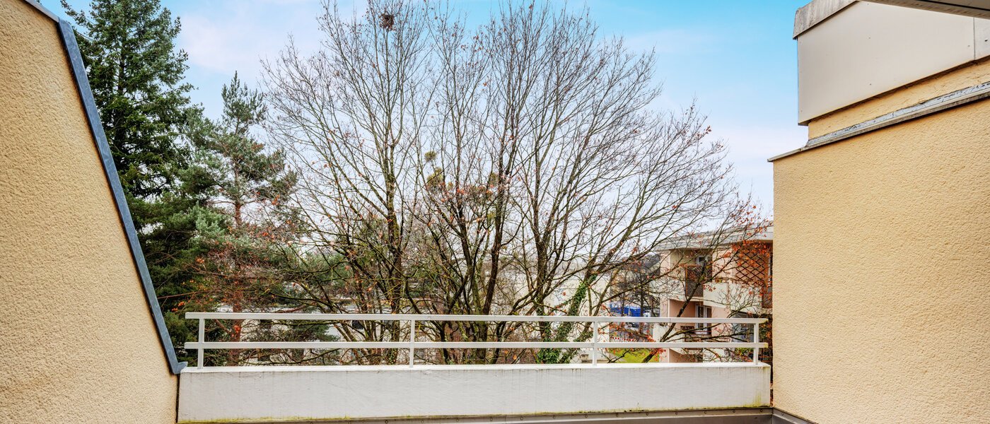 ペントハウス München Nymphenburg 02 1ルーフテラス 14694