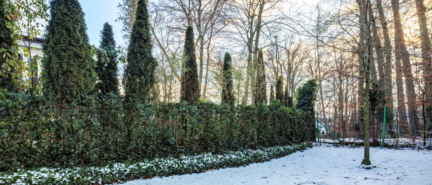 マンション München Harlaching 01 庭 14713