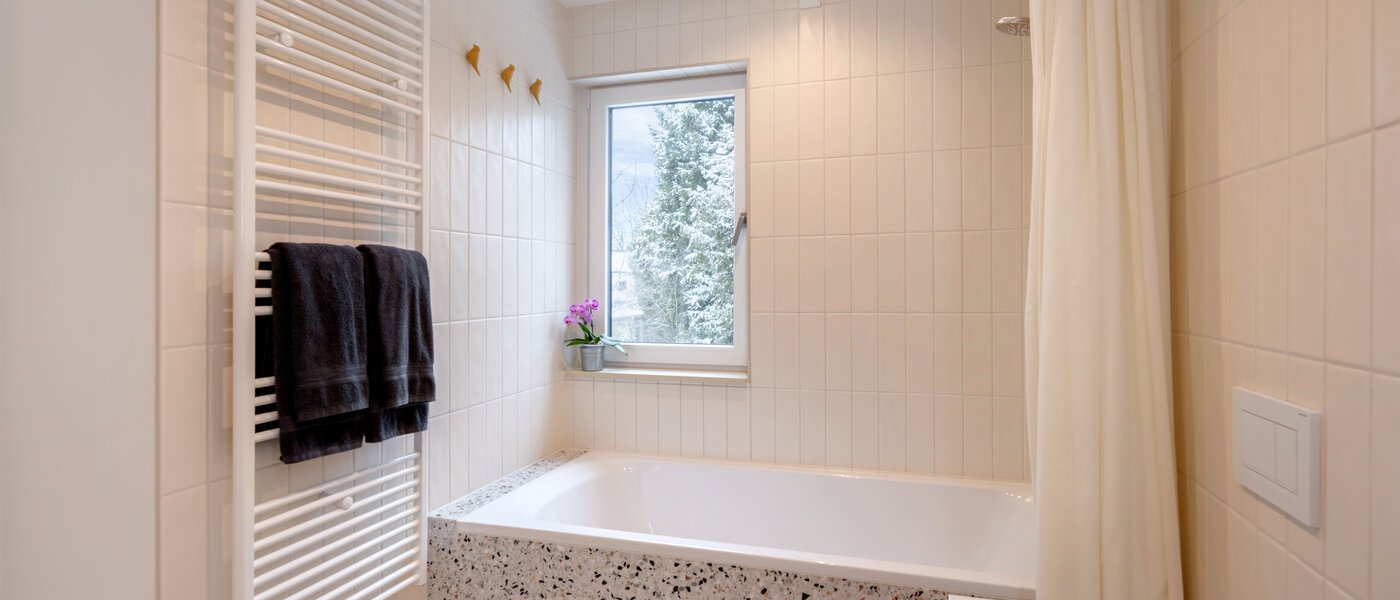 セミ・デタッチド・ハウス（一戸建てを二つに分けた家屋） München Pasing 03 ２つめの浴室 14721