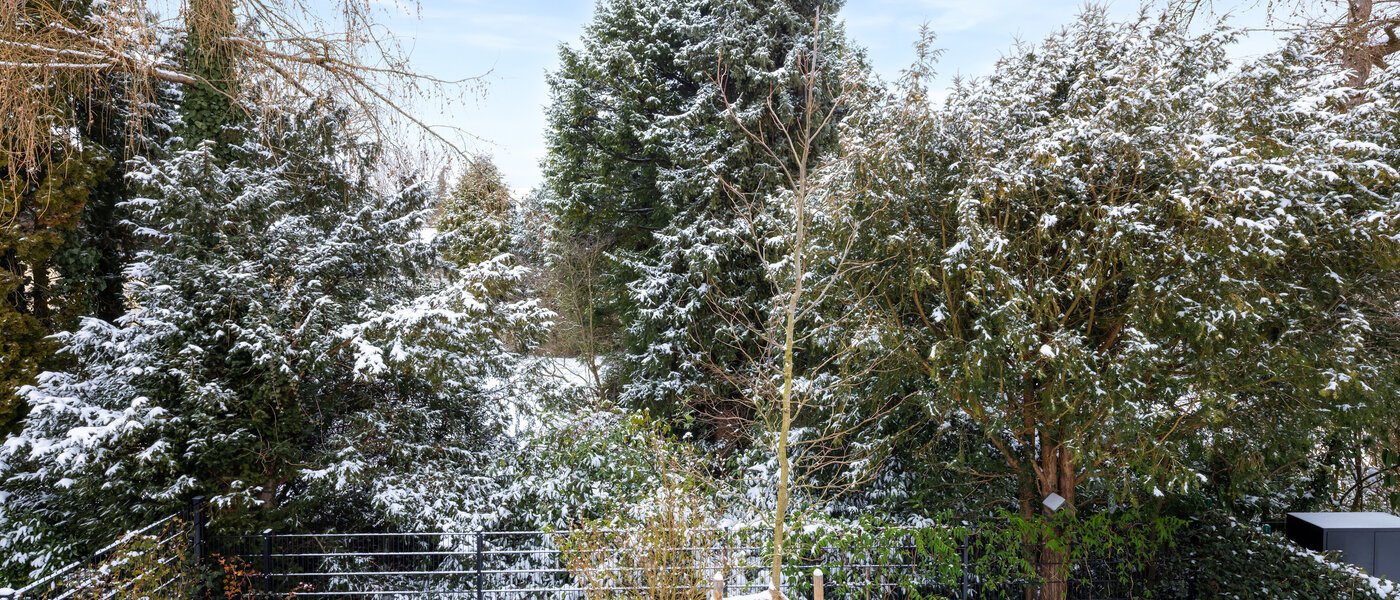 セミ・デタッチド・ハウス（一戸建てを二つに分けた家屋） München Pasing 03 物件からの眺め 14721