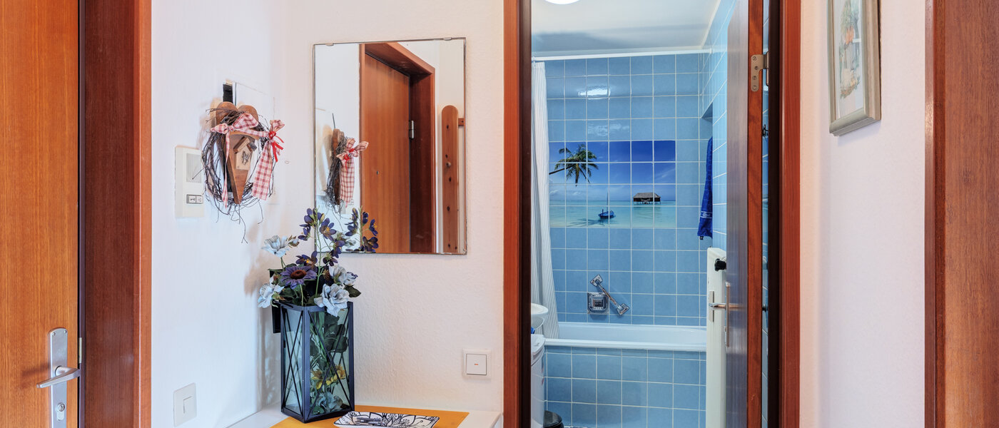 マンション Schliersee 01 玄関入り口 14784