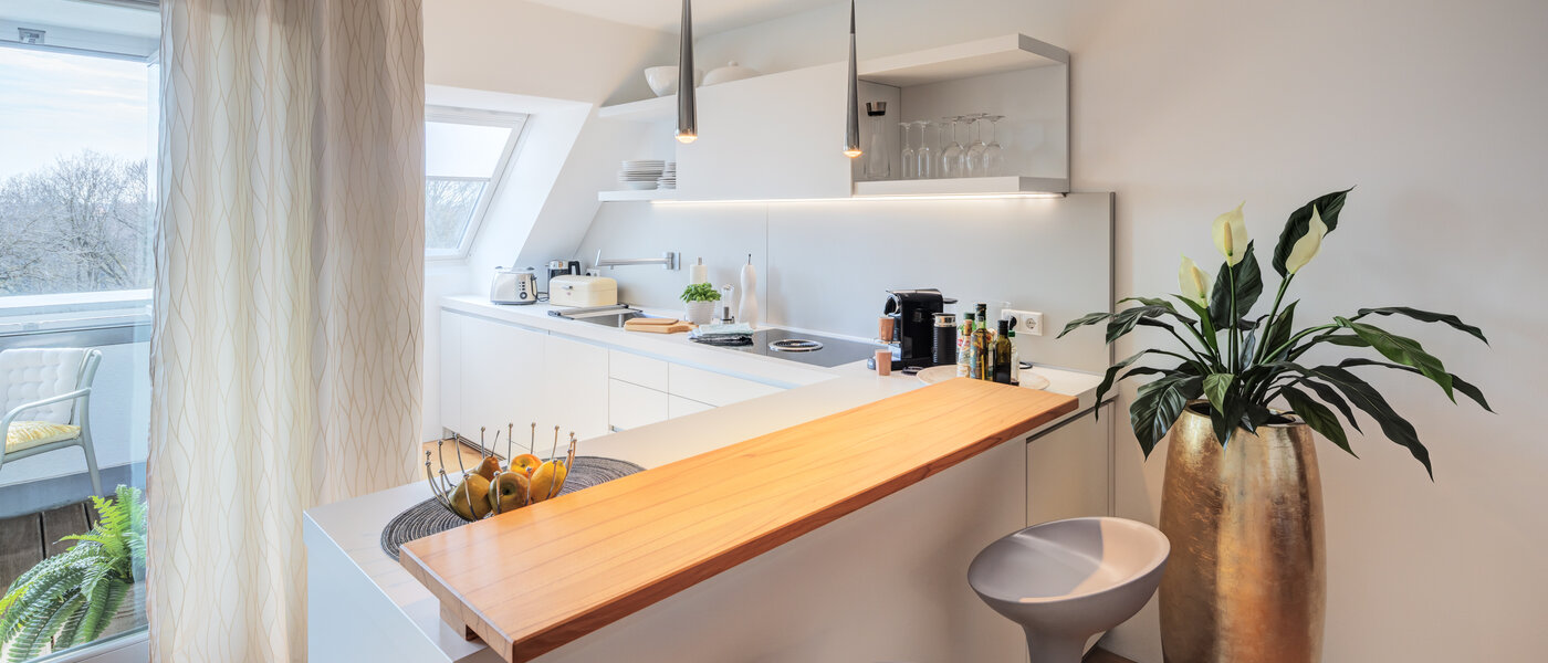 アティック・フラット（屋根裏） München Ludwigsvorstadt 01 キッチン 14803