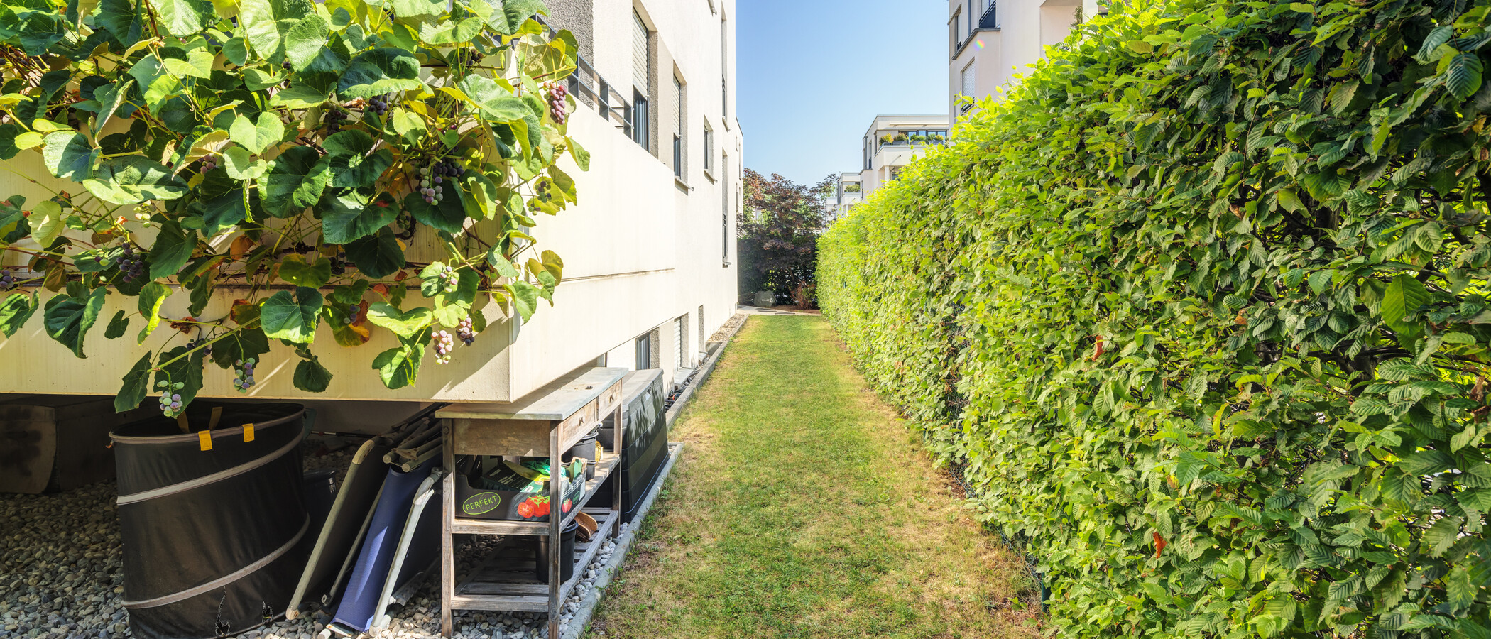 メゾネット・マンション（複数階にわたるマンション） München Oberföhring 03 庭 14969