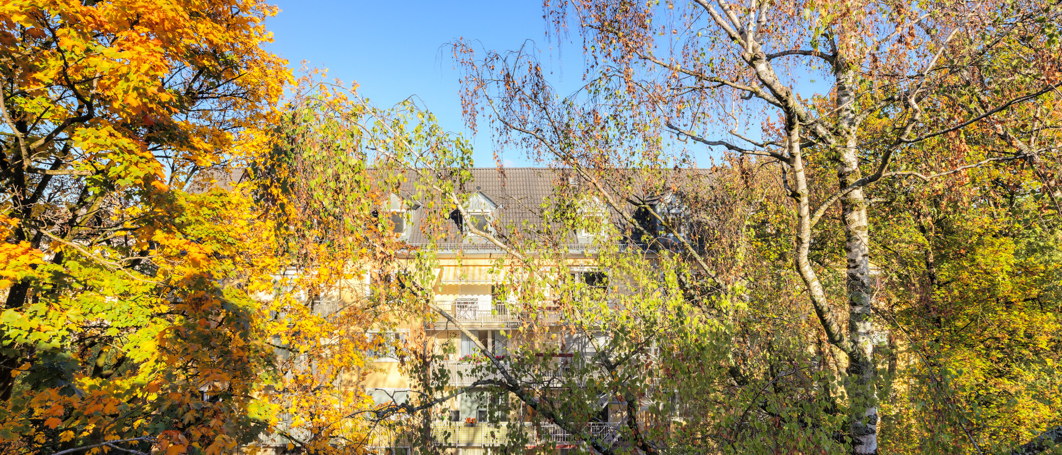複層住宅 München Obergiesing 02 物件からの眺め 15054