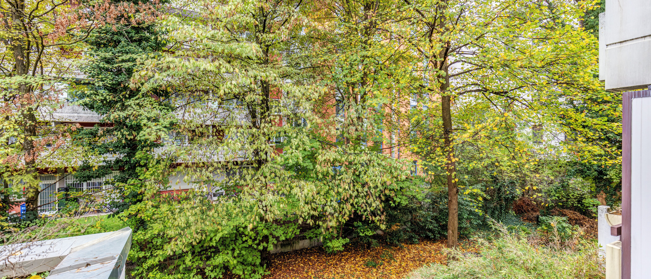 マンション München Schwabing-West (rund um den Hohenzollernplatz) 01 物件からの眺め 15057