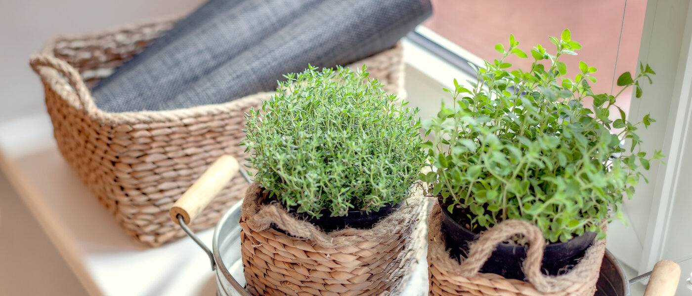 マンション München Gärtnerplatzviertel 04 キッチン 1590