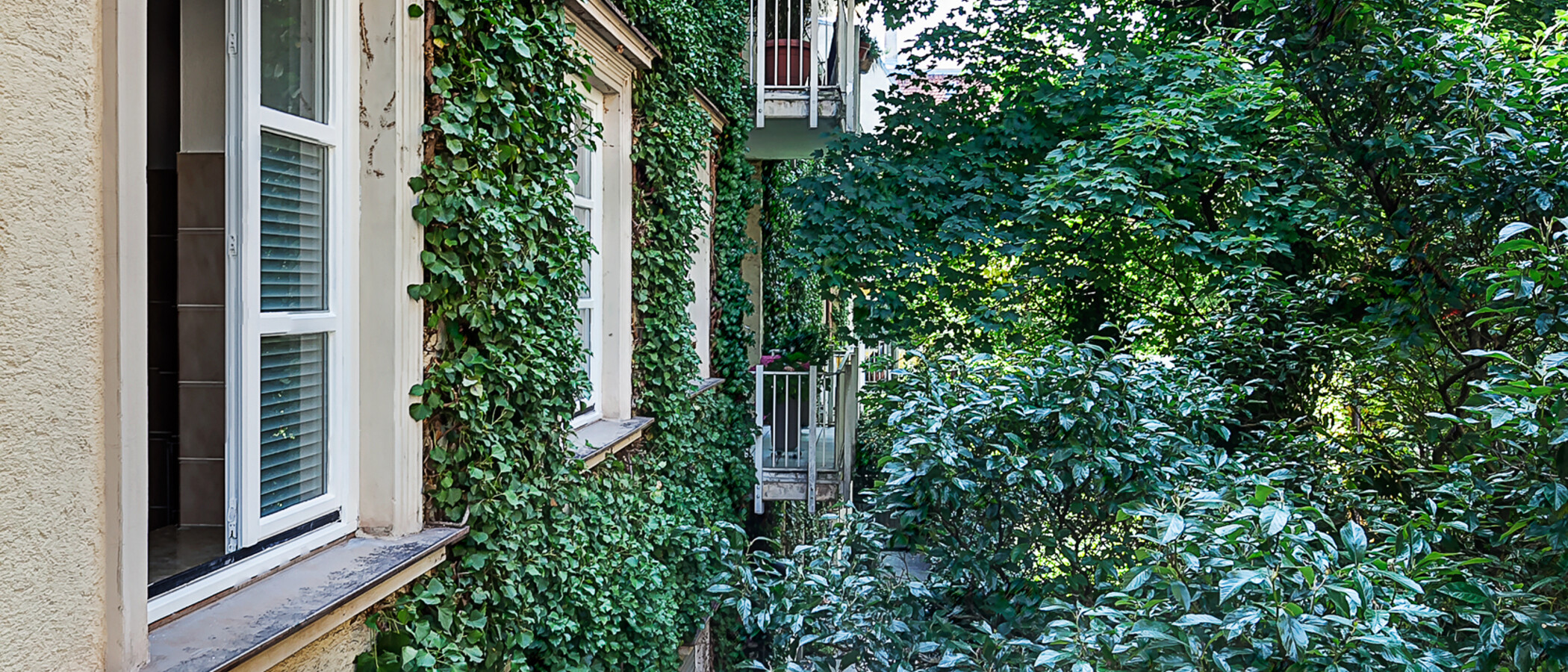 マンション München Schwabing (links der Leopoldstraße) 01 物件からの眺め 1797
