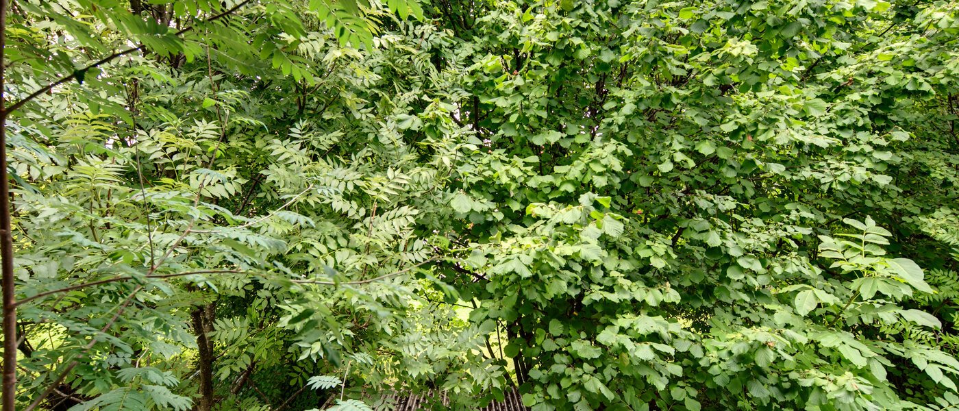 マンション München Großhadern 04 物件からの眺め 2051