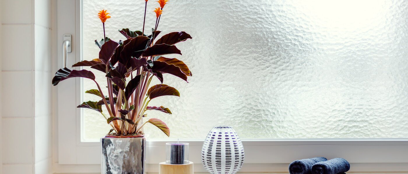 マンション München Solln 02 浴室 227